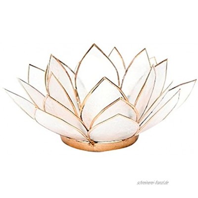 Find Something Different Etwas Finden verschiedenen natürlichen Capiz Shell Lotus Teelichthalter Bambus Mehrfarbig