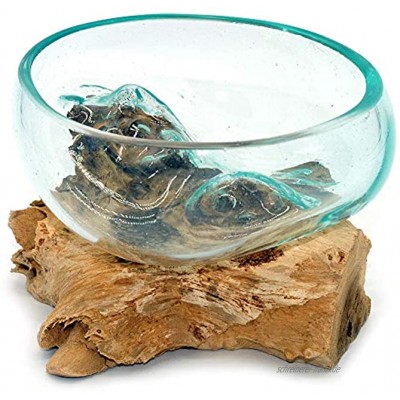Wurzel mit Glasschale klein Schale Dekoschale Glas auf Holz Durchmesser 12-13 cm Holzdeko Teakholz Deko Wurzel 13-15 cm