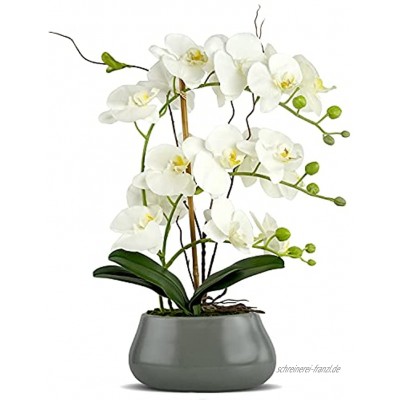 RENATUHOM Kunstblumen Orchidee Weiße Künstliche Orchidee Kunstpflanzen Orchideen Phalaenopsis Kunstblumen Bonsai für Zuhause Tischdekoration im Topf Orchideen Arrangement