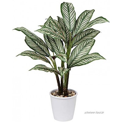 24.8"Künstliche Pflanze Calathea Ornata Sanderiana Dekorative Tropische Kunstpflanze im Topf für Zuhause oder Büro