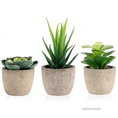 3 Stücke Künstliche Sukkulenten Pflanzen Kunstpflanzen mit Töpfen ideal für Tischdeko Haus Balkon Büro Deko usw