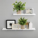 Briful Kunstpflanze Mini Künstliche Pflanze Eukalyptus Rosmarin Kräuter im Topf Deko Badezimmer Schreibtisch Küche Garden Dekoration 3er Set