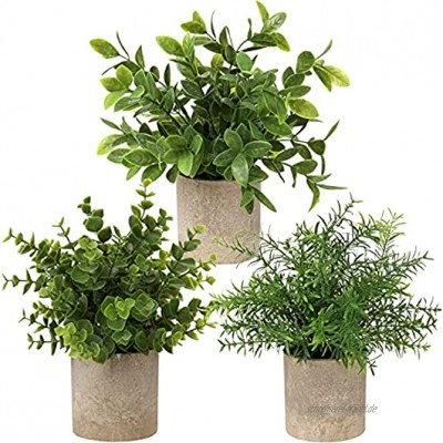 Briful Kunstpflanze Mini Künstliche Pflanze Eukalyptus Rosmarin Kräuter im Topf Deko Badezimmer Schreibtisch Küche Garden Dekoration 3er Set