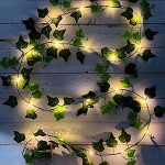DYBOHF Efeu Girlande Frühlingsgirlande Lichterkette mit Blättern 2M 20 LED Frühling Pflanzen künstliche Gefälschte Efeublätter Geschenke für Büro Küche Garten Party Wanddekoration 1 Stück