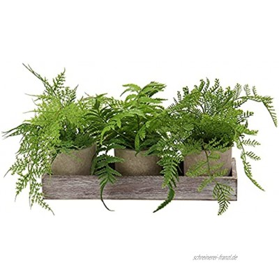 Kunstpflanze 3 Stücke Künstliche Pflanze im Topf Boston Farn Pflanzen Indoor und Outdoor Grünes Gras Deko Wohnzimmer Balkon Schlafzimmer Badezimmer Zimmer Tischdeko