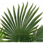 vidaXL Künstliche Pflanze Palme mit Topf Kunstpflanze Dekopflanze Zimmerpflanze Topfpflanze Büropflanze Grünpflanze Deko Zimmer Pflanze Grün 70cm