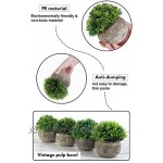 YHmall 4 Stück Künstliche Pflanzen kleine dekorative Faux Plastik Kunstpflanze ideal für Haus Balkon Büro Deko MEHRWEG