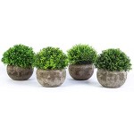 YHmall 4 Stück Künstliche Pflanzen kleine dekorative Faux Plastik Kunstpflanze ideal für Haus Balkon Büro Deko MEHRWEG