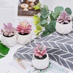 Zalava 4 Stück Künstliche Sukkulenten Pflanzen Künstliche Pflanzen mit Topf Kunstpflanze klein für Tisch Haus Balkon Büro Deko