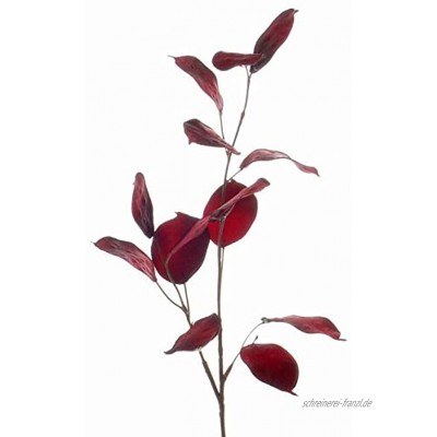 artplants.de Künstlicher Lunaria Zweig JEPPE dunkelrot 60cm Künstlicher Zweig Kunstpflanze Silberblatt