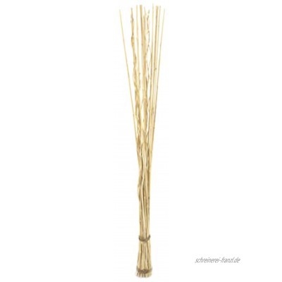 DARO DEKO Weiden-Zweige Bündel hell-braun mit Bambus 165cm lang