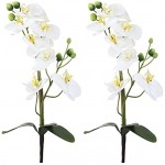 Decoline Orchideen-Zweig künstlich 2 Stück A mit Blättern 38cm
