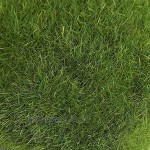 Moos Künstliche Delama Grün Simulations Gras Bryophyte für Bonsais Garten DIY Landschaftsdekor