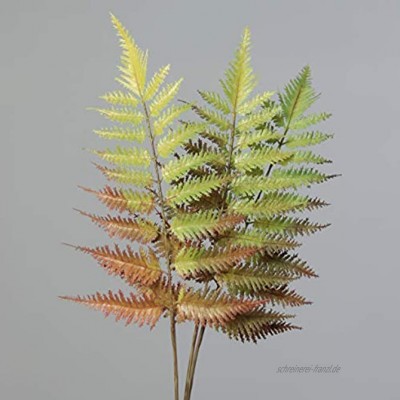 mucplants Farnblattbund mit 3 Farnblättern 55cm künstlicher Farn Farnblatt Farnzweig Farne