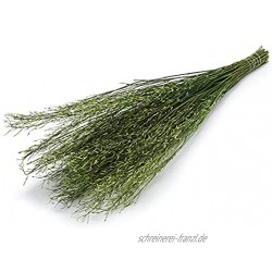 NaDeco Sarash Bündel grün ca. 110cm grünes Dekobündel grünes Weidenbündel Naturdeko grün grüne Dekozweige grüne Dekoäste