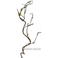 Unbekannt Künstlicher HASELNUSSZWEIG ca 100 cm. Nuss -Zweig mit Trieben