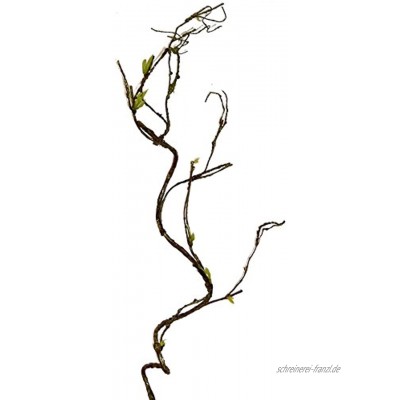 Unbekannt Künstlicher HASELNUSSZWEIG ca 100 cm. Nuss -Zweig mit Trieben