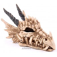 NAMENLOS Gothic Drachen-Totenkopf Spardose | Fantasy Drachenschädel Sparbüchse Skull Kopfskulptur Statue Figur B 19 cm