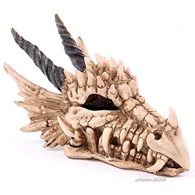 NAMENLOS Gothic Drachen-Totenkopf Spardose | Fantasy Drachenschädel Sparbüchse Skull Kopfskulptur Statue Figur B 19 cm