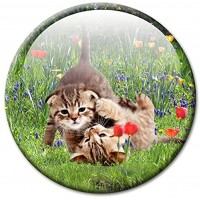 GUMA Kühlschrankmagnet Katze mit lustigem Katzenmotiv „Katzen in der Wiese!“ Magnete für Magnettafel Bunt stark groß rund 50mm